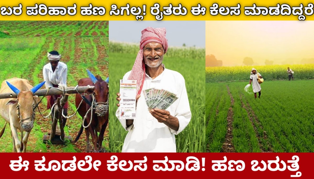 ಬರ ಪರಿಹಾರ ಹಣ ಸಿಗಲ್ಲ | ರೈತರು ಈ ಕೆಲಸ ಮಾಡದಿದ್ದರೆ! | ಈ ಕೂಡಲೇ ಕೆಲಸ ಮಾಡಿ! | ಹಣ ಬರುತ್ತೆ | Bara parihara Update karnataka