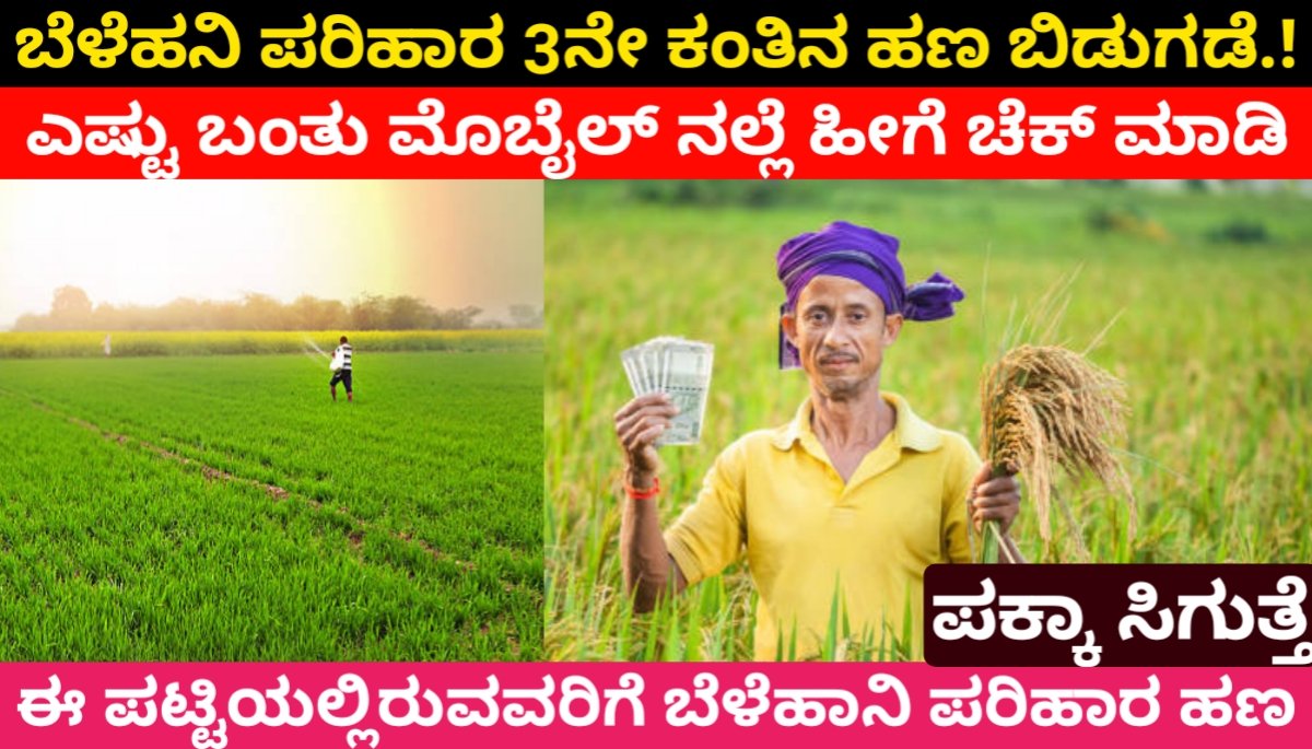 Bele parihara list : ಬೆಳೆಹನಿ ಪರಿಹಾರ 3ನೇ ಕಂತಿನ ಹಣ ಬಿಡುಗಡೆ.!ಈ ಪಟ್ಟಿಯಲ್ಲಿರುವವರಿಗೆ ಬೆಳೆಹಾನಿ ಪರಿಹಾರ ಹಣ ಪಕ್ಕಾ ಸಿಗುತ್ತೆ 2024 FREE
