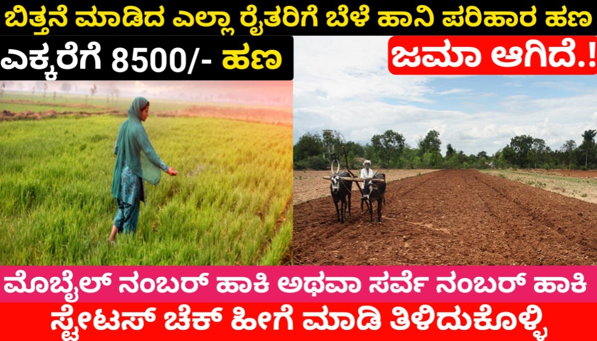 ಬಿತ್ತನೆ ಮಾಡಿದ ಎಲ್ಲಾ ರೈತರಿಗೆ ಬೆಳೆ ಹಾನಿ ಪರಿಹಾರ ಹಣ ಜಮಾ ಆಗಿದೆ.! Bele Hani Parihara Amount 2024 FREE