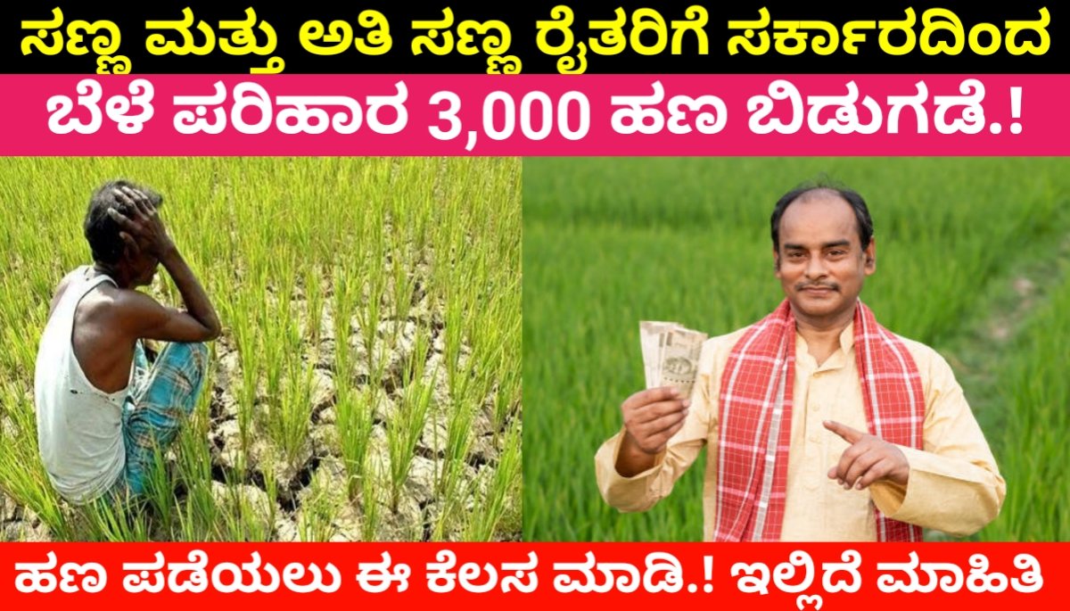 Bara Parihara : ಸಣ್ಣ ಮತ್ತು ಅತಿ ಸಣ್ಣ ರೈತರಿಗೆ ಸರ್ಕಾರದಿಂದ ಬೆಳೆ ಪರಿಹಾರ 3,000 ಹಣ ಬಿಡುಗಡೆ.! FREE